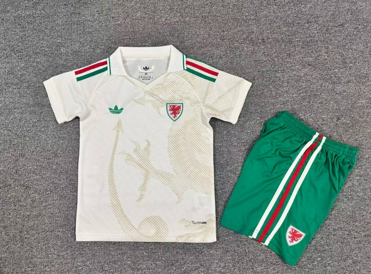 Kids-Wales 2026 World Cup Away Soccer Jersey